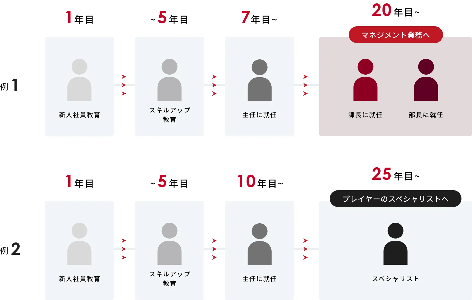 キャリアステップ例1：1年目 新入社員教育 5年目 スキルアップ教育 7年目 主任に就任 20年目～ 課長・部長に就任 マネジメント業務へ キャリアステップ例2：1年目 新入社員教育 5年目 スキルアップ教育 10年目 主任に就任 25年目～ プレイヤーのスペシャリストへ